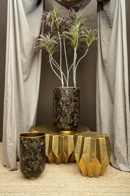 Loder Gold Horn Shiny Pot Natural Horn Mosaic SV2