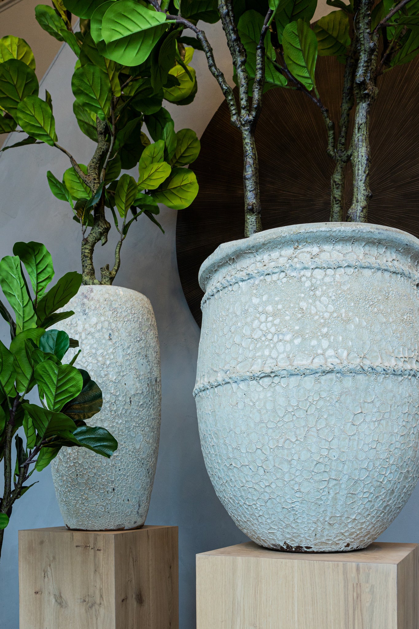 Tony Grey Big Ceramic Jar Pot Round Low