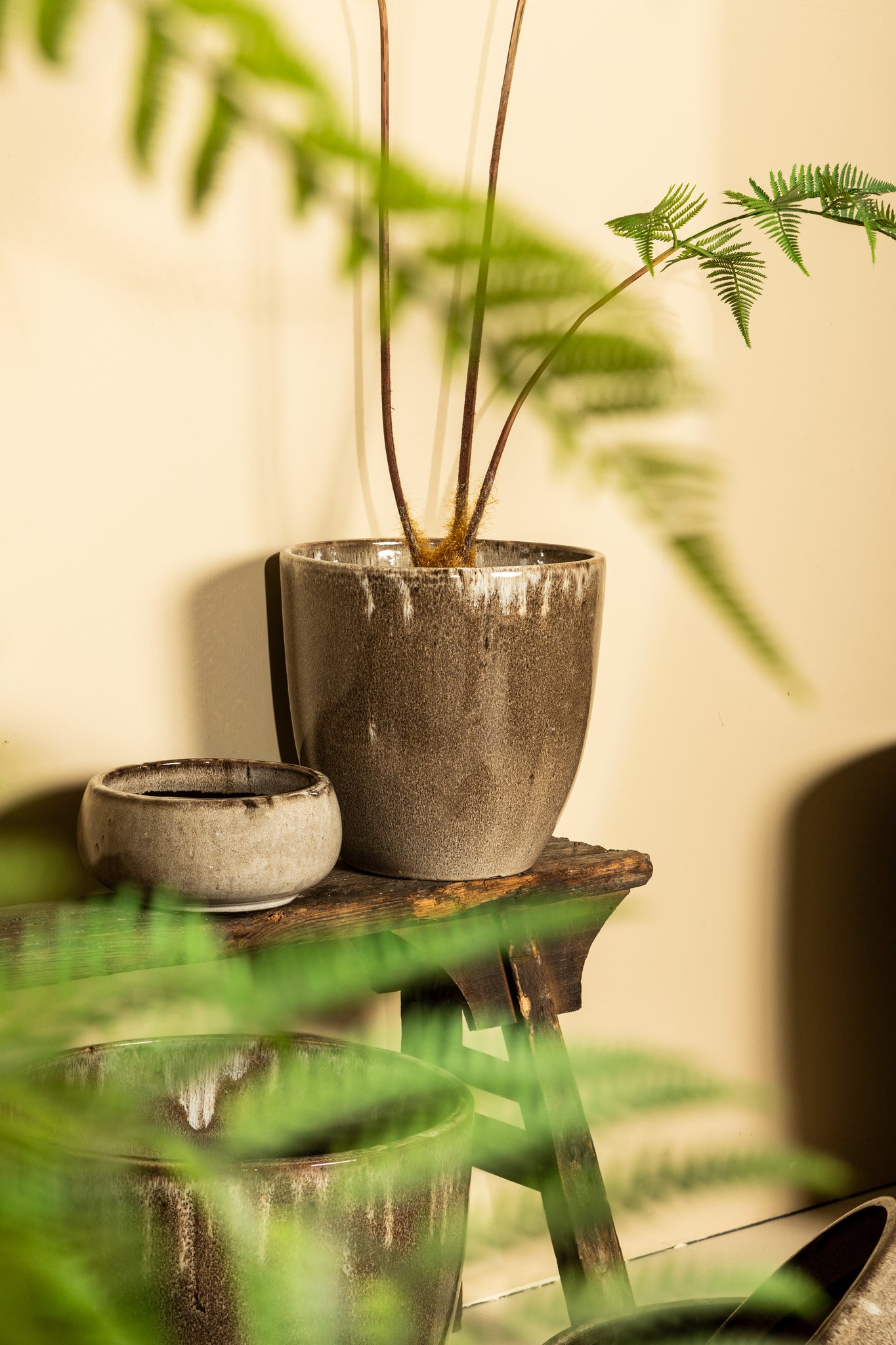 Nayaa Brown Ceramic Pot Round Low SV4