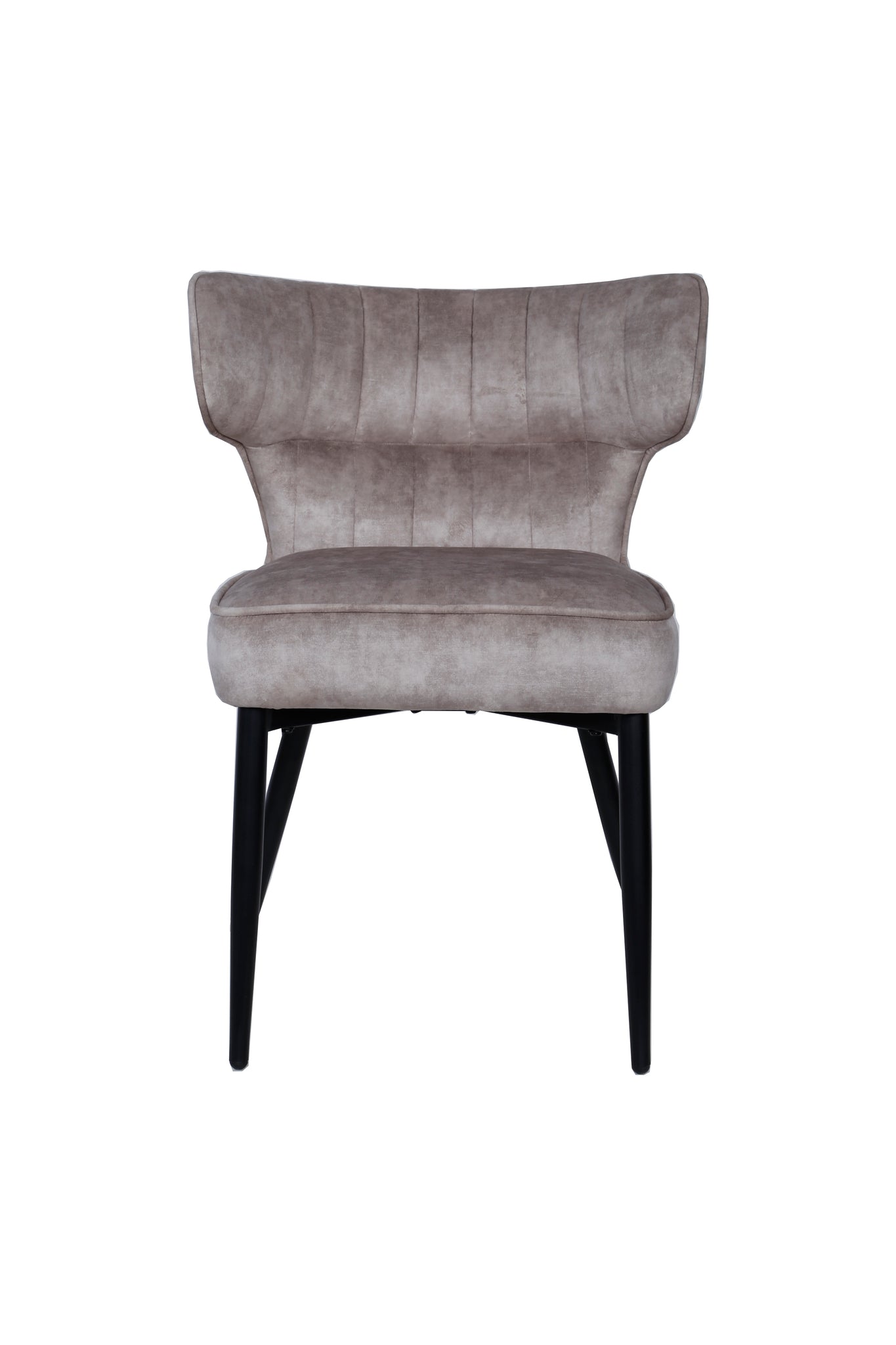 Zinno Cream Dining Chair (set of 2)