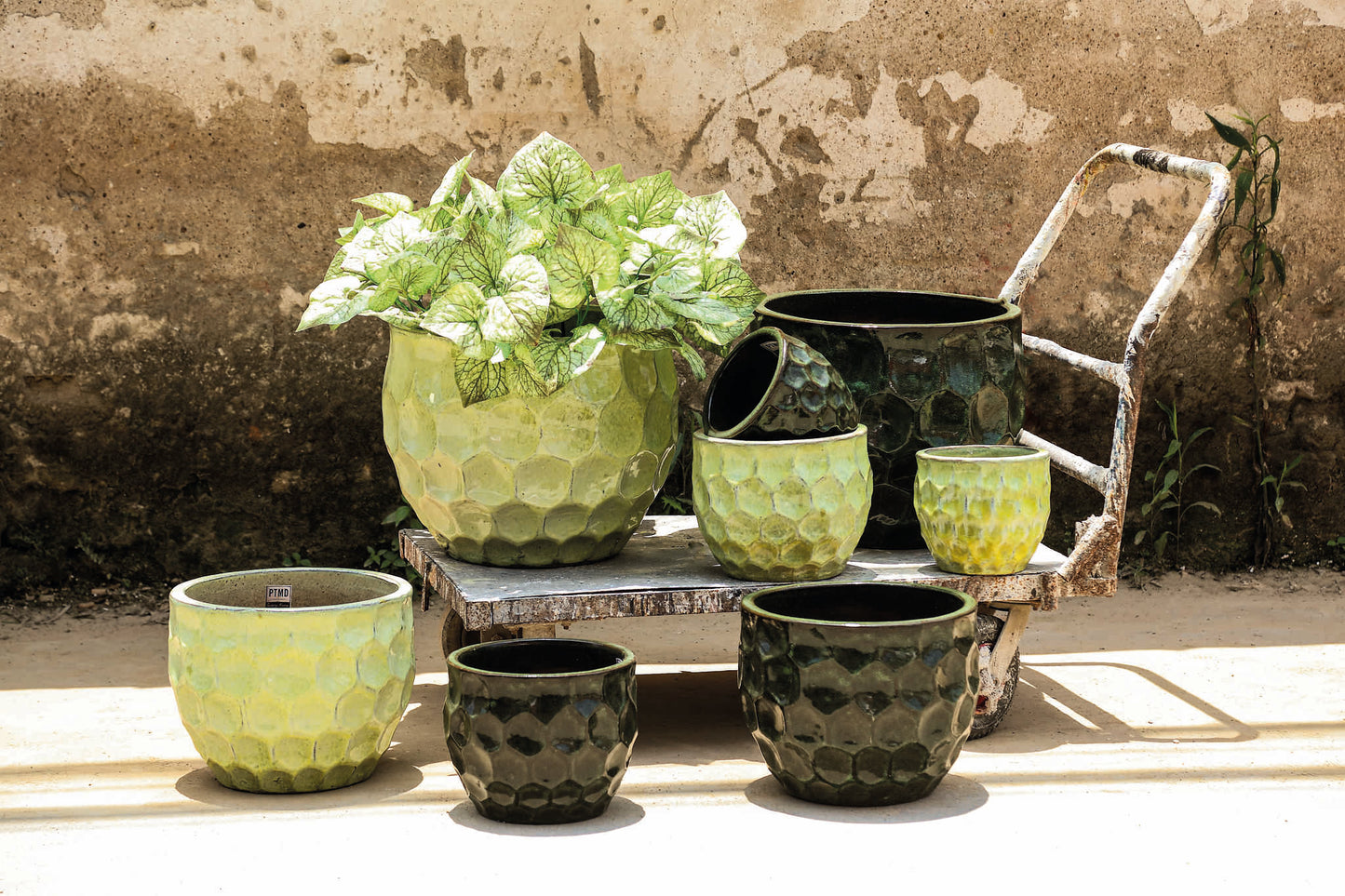 Charlie Yellow Ceramic Round Pot Circles SV4