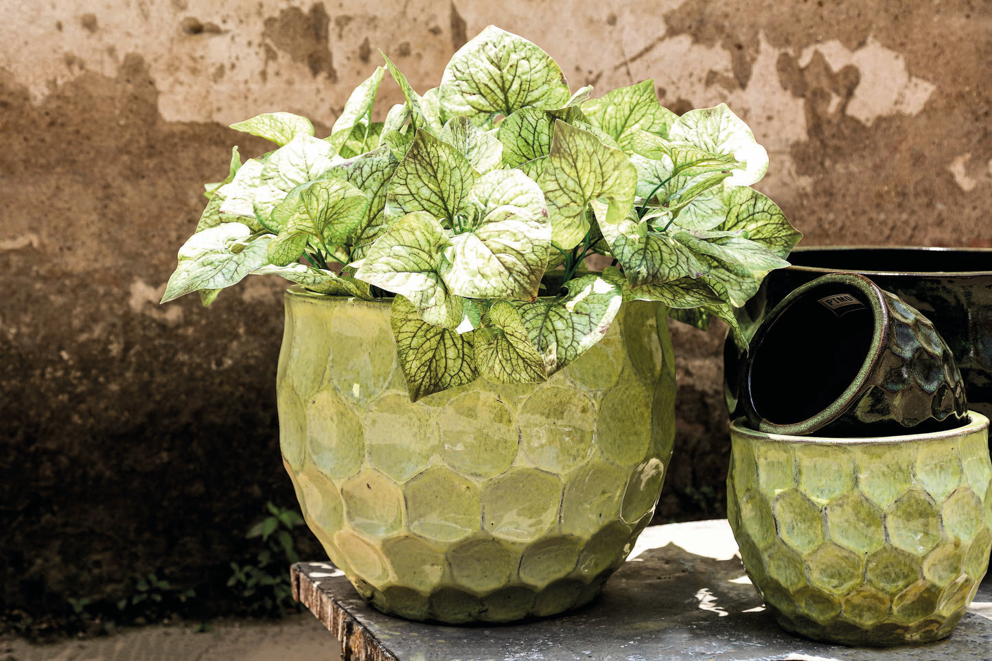 Charlie Yellow Ceramic Round Pot Circles SV4