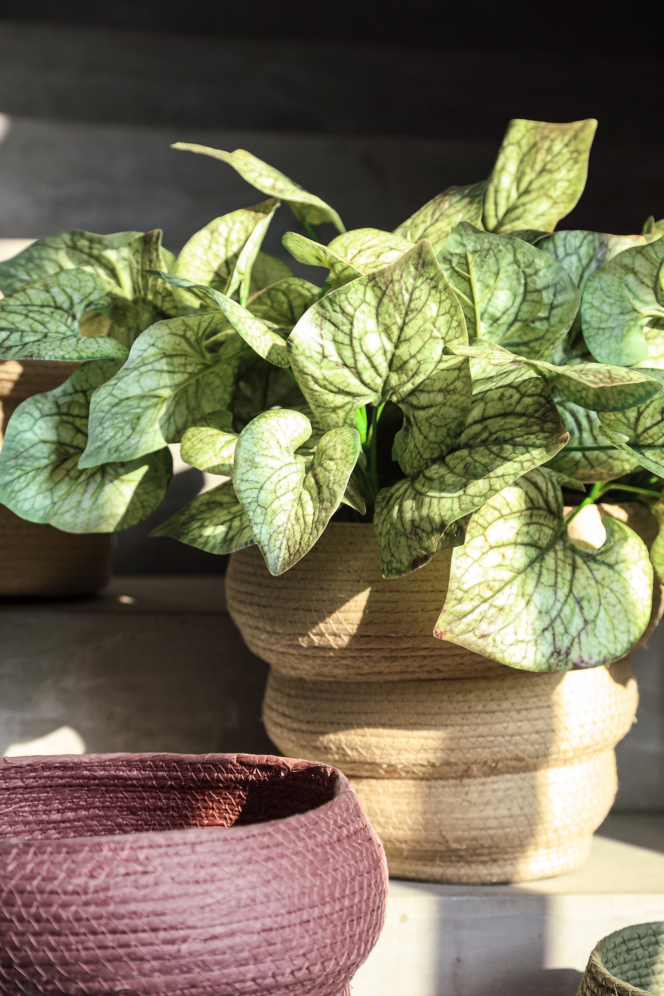 Summera Pink Round Paper Rope Pot Layered SV3