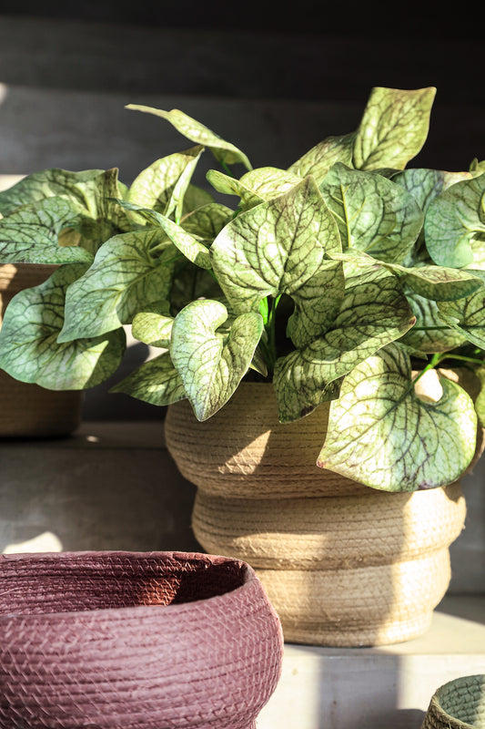 Summera Pink Round Paper Rope Pot Layered SV3