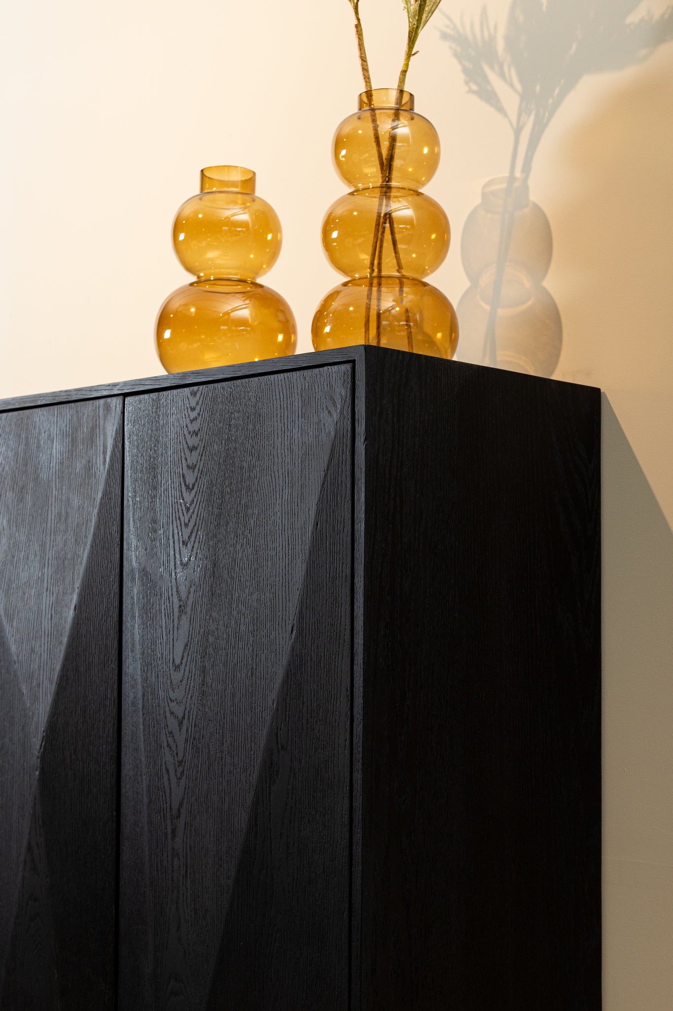 Onyx Cabinet Black 2 Drs