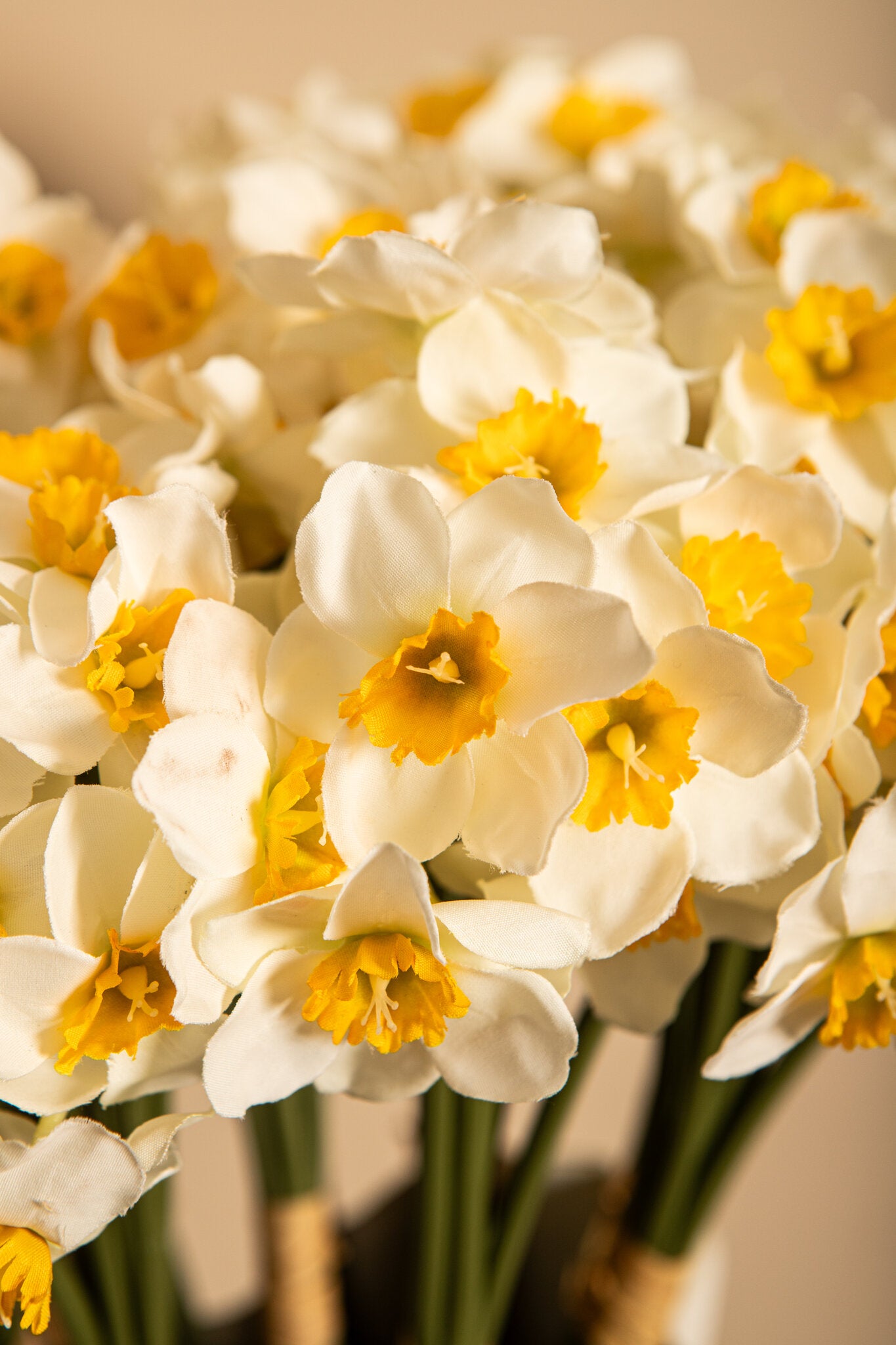 Garden Flower Witte Narcis Set Van 12 Stuks 41x10x20 cm