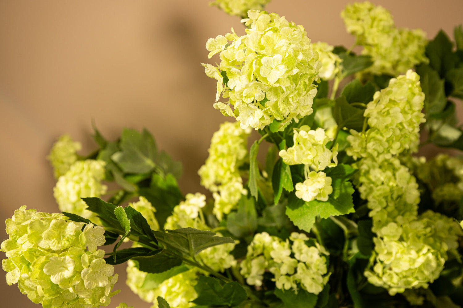 Hydrangea Flower Groene Sneeuwbal Spray - Set van 12 77x43x22 cm