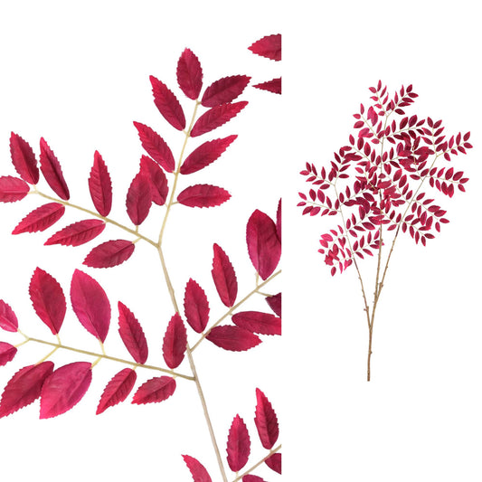 Leaves Plant Paarse Sorus Bladspray - Set van 6 92x65x84 cm