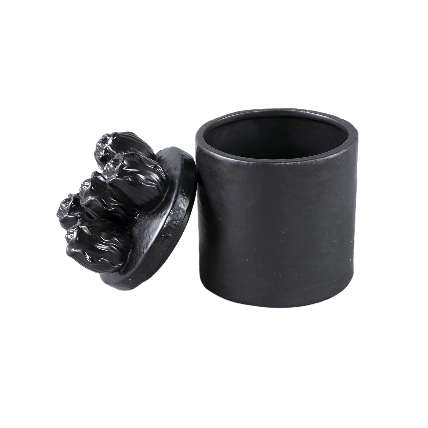 Krystine Black Round Ceramic Pot With Tulips Top