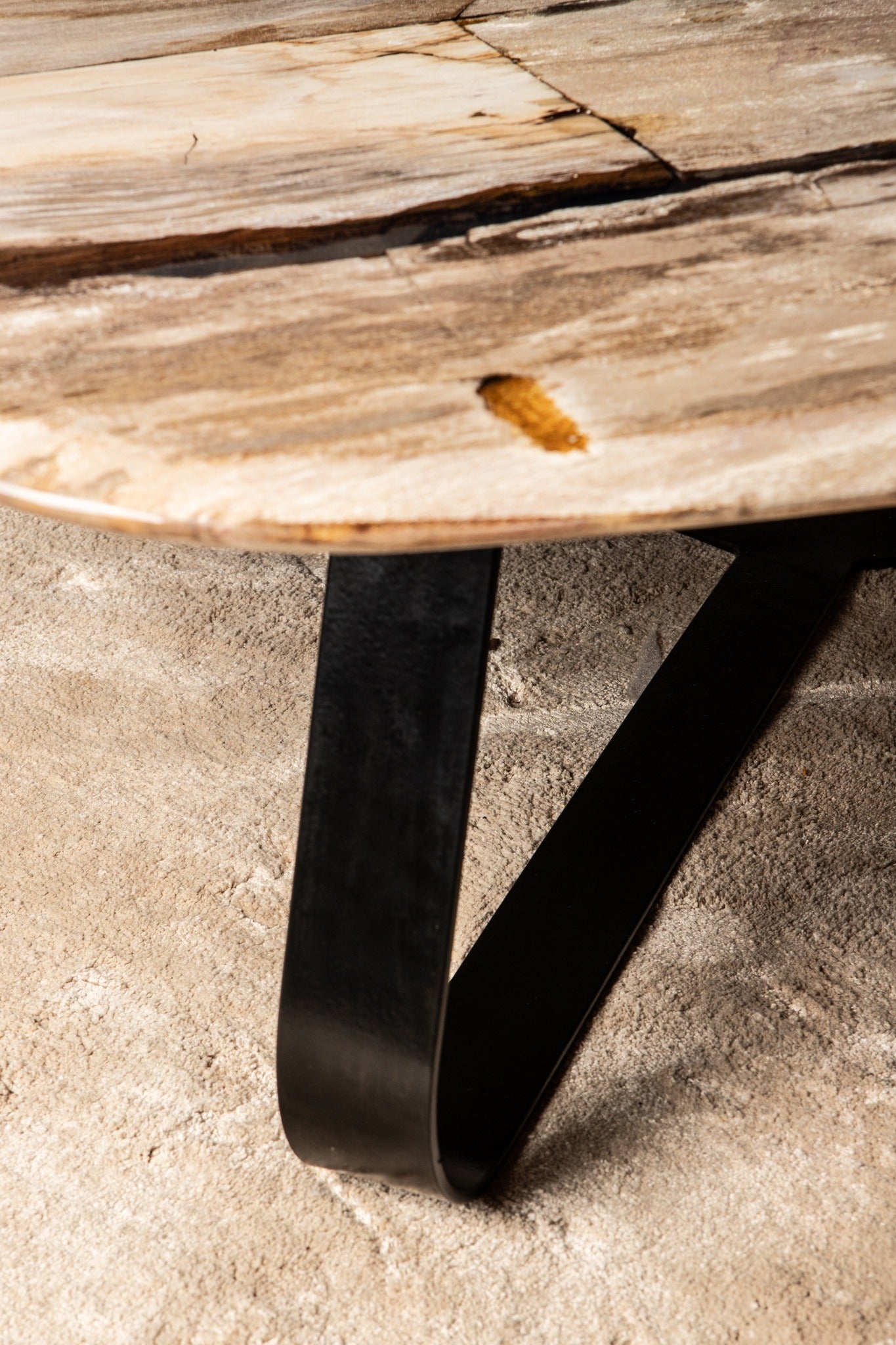 Deeba Coffeetable Petrified Wood 95