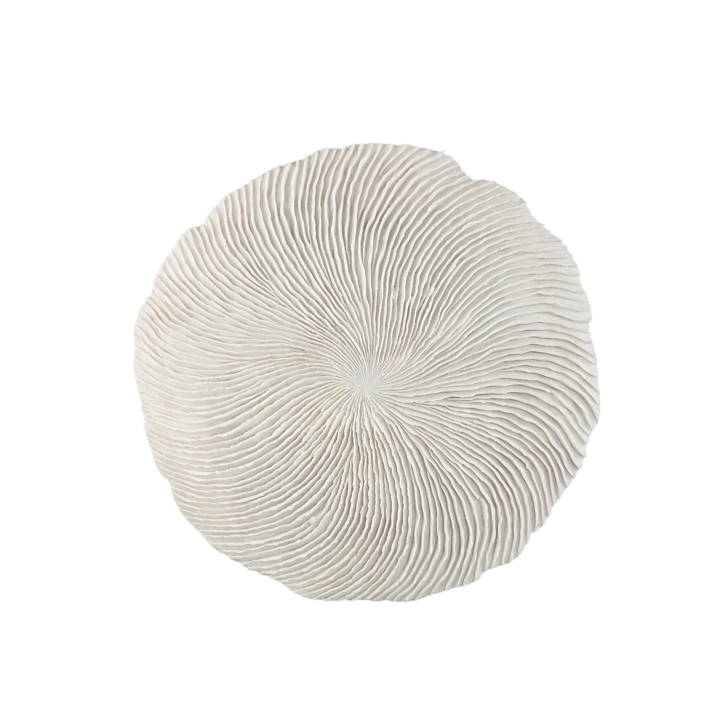 Kathelle White Poly Round Coral Shaped Wallpanel L