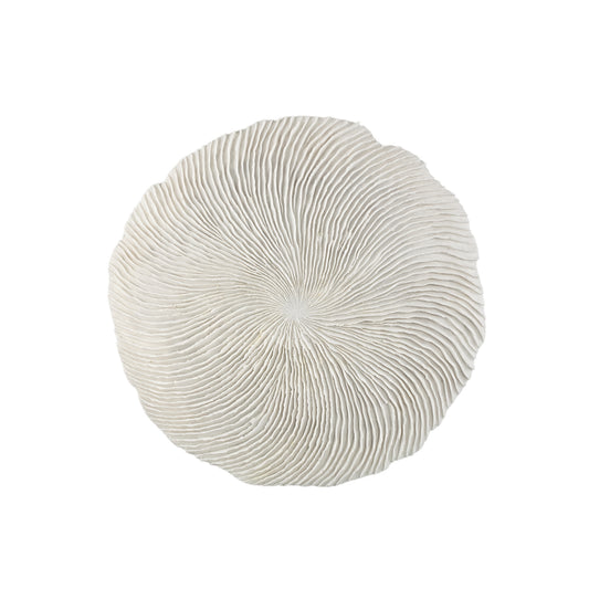 Kathelle White Poly Round Coral Shaped Wallpanel L