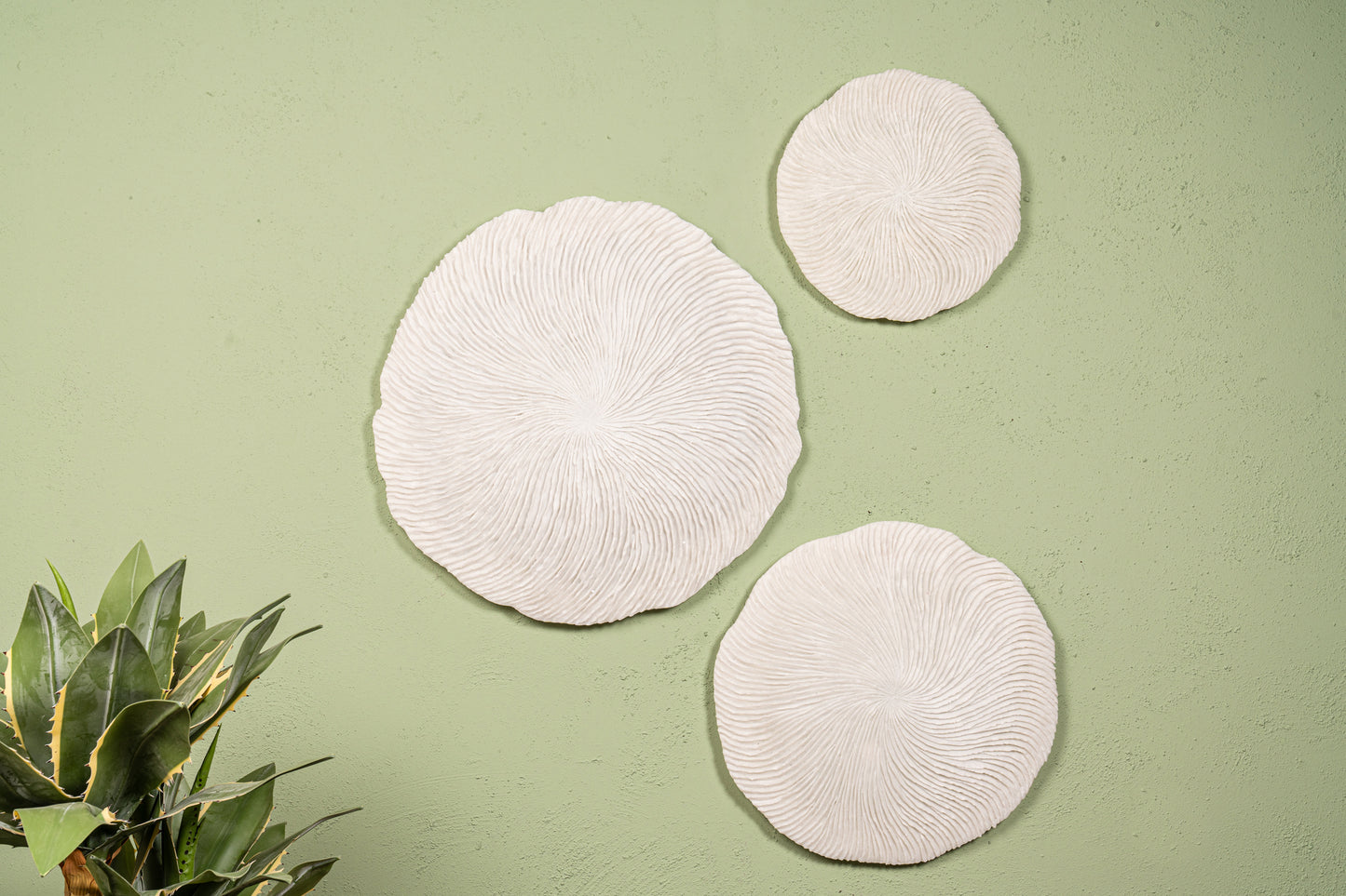 Kathelle White Poly Round Coral Shaped Wallpanel L