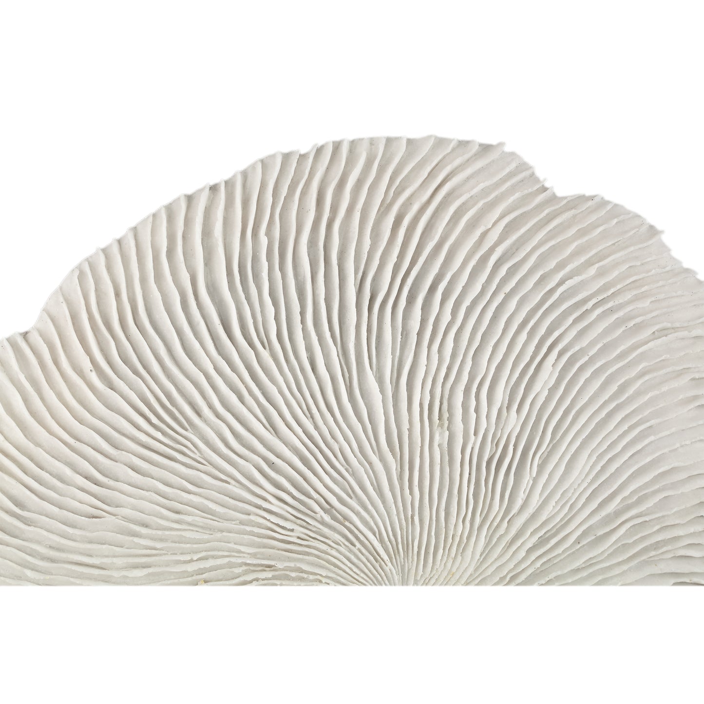 Kathelle White Poly Round Coral Shaped Wallpanel L