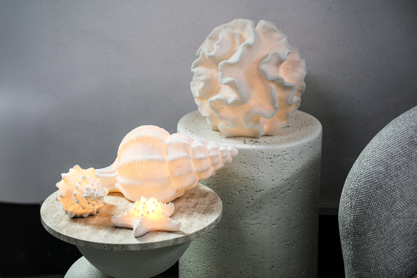 Graeme White Poly Shell Shaped LED Lamp Lines S