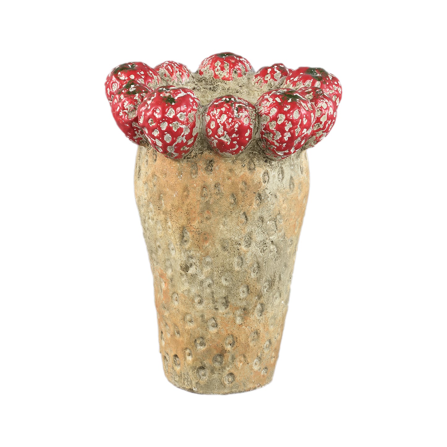 Fruitsy Red Round Terra Pot Strawberries High M