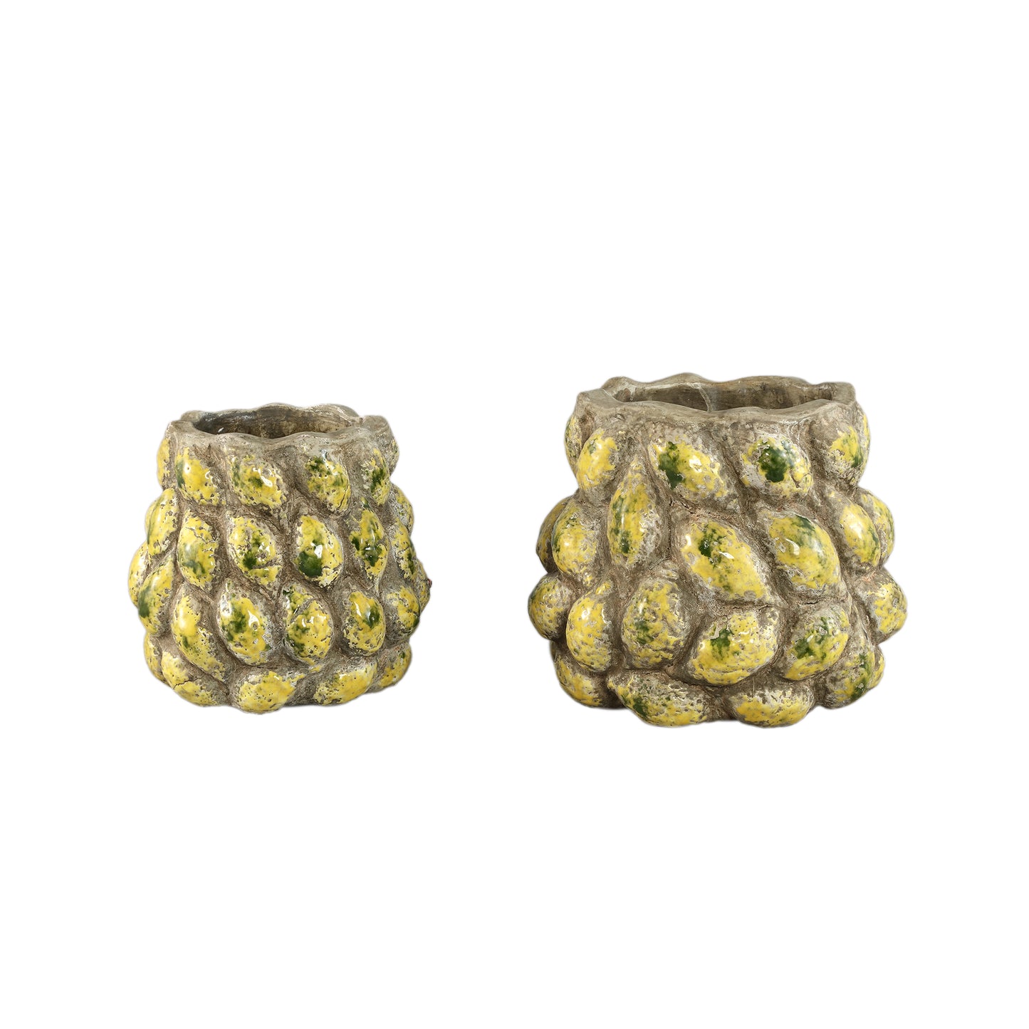 Fruitsy Yellow Round Terra Pot Lemon Finish L