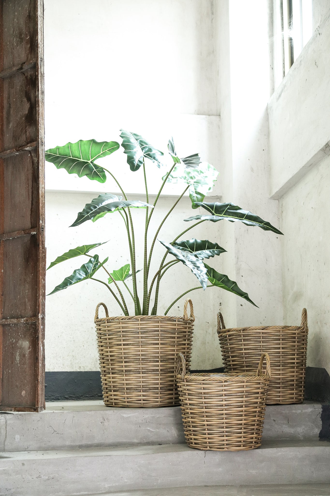 Jezzelle Natural PE  Woven Basket High Set Of 3