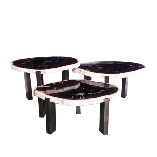 Rudi Grijze Versteend Hout Koffietafel Nikkel 43x50x60 cm