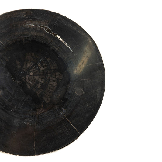 Rillix Black Petrified Wood Sidetable Nickel Round