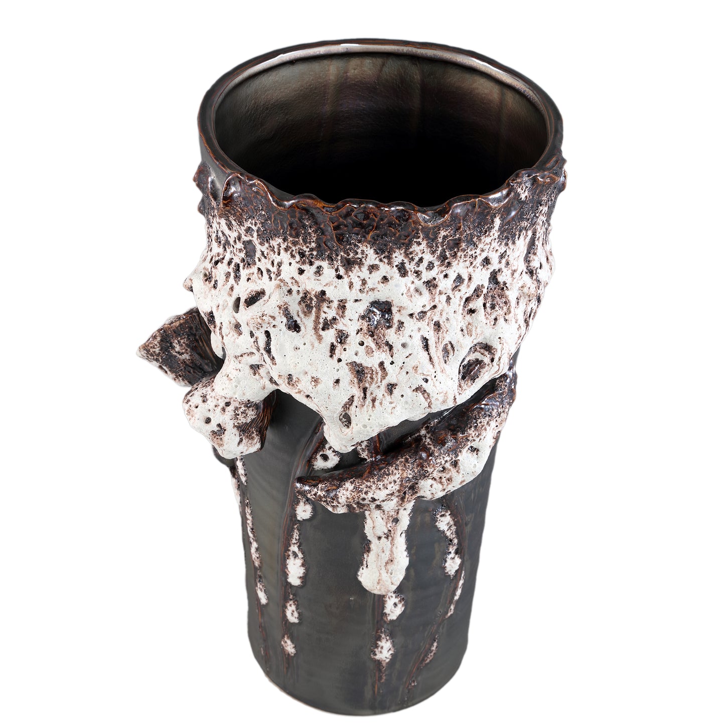 Laverae Brown Ceramic Pot 3D Dried Flower PatternL