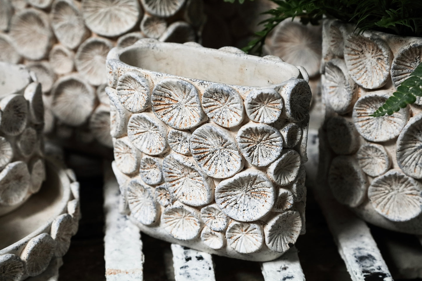 Ayisy Cream Oval Cement Pot With Coral M