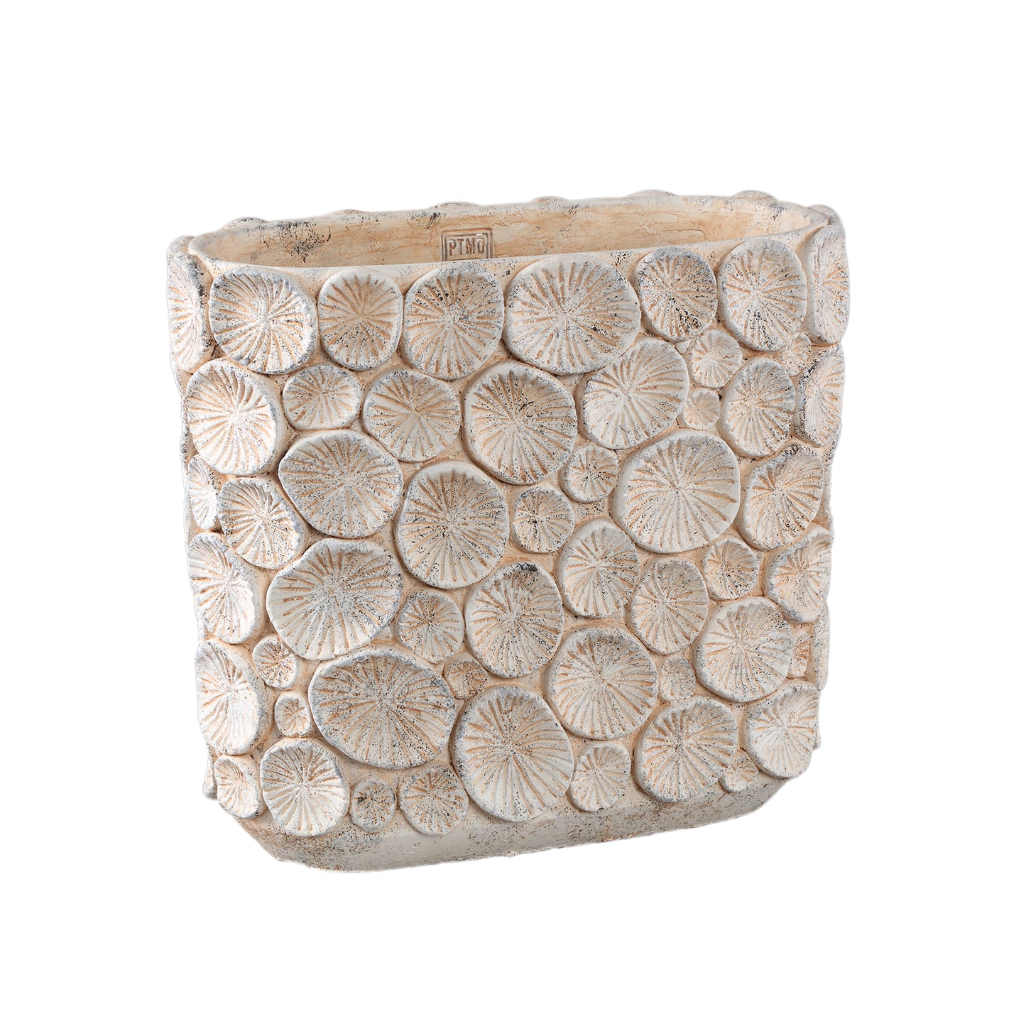 Ayisy Cream Oval Cement Pot With Coral L