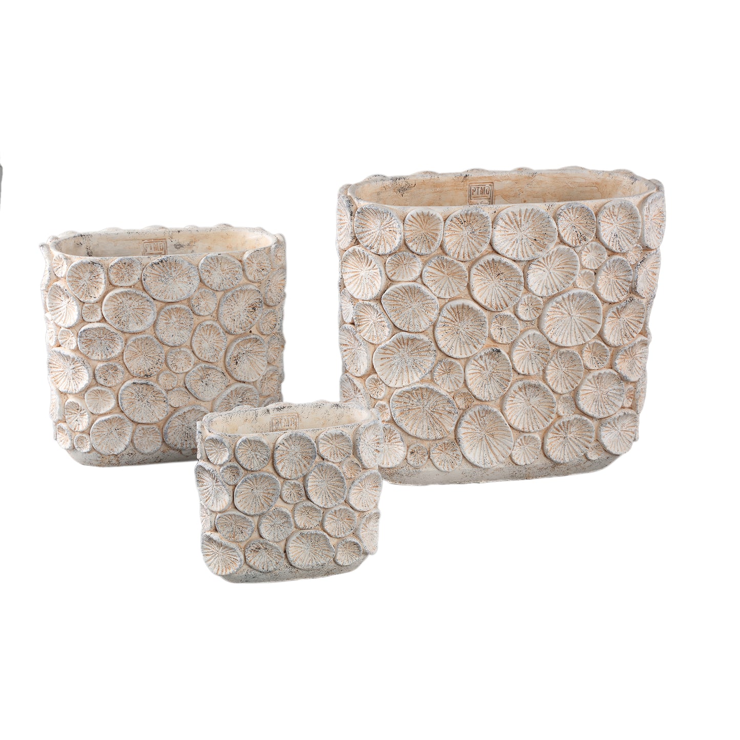 Ayisy Cream Oval Cement Pot With Coral L