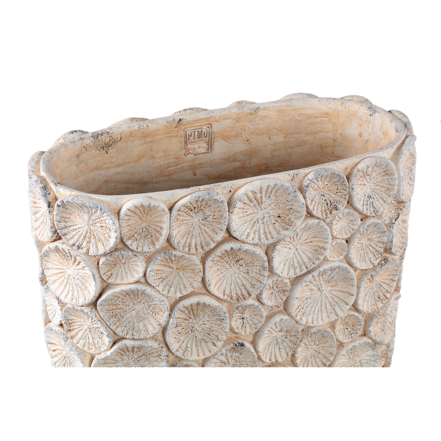 Ayisy Cream Oval Cement Pot With Coral L