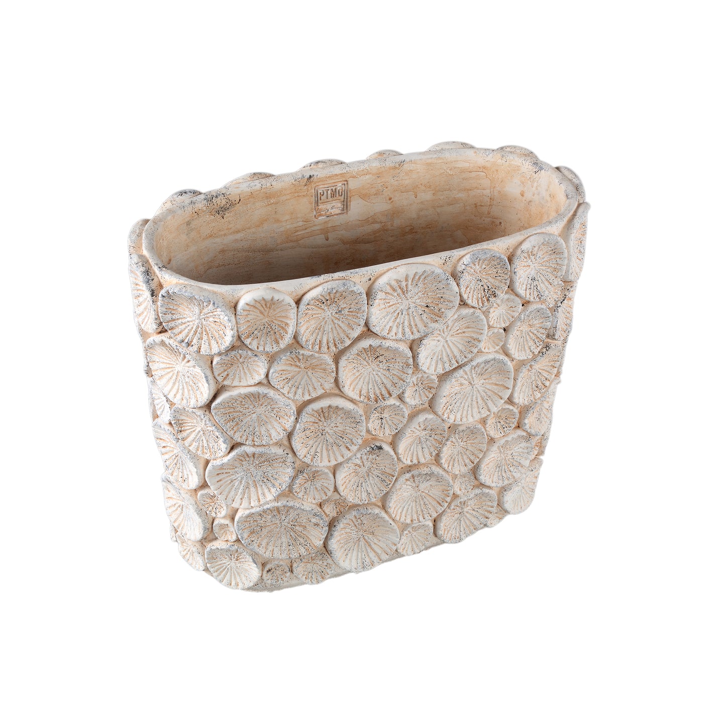 Ayisy Cream Oval Cement Pot With Coral L