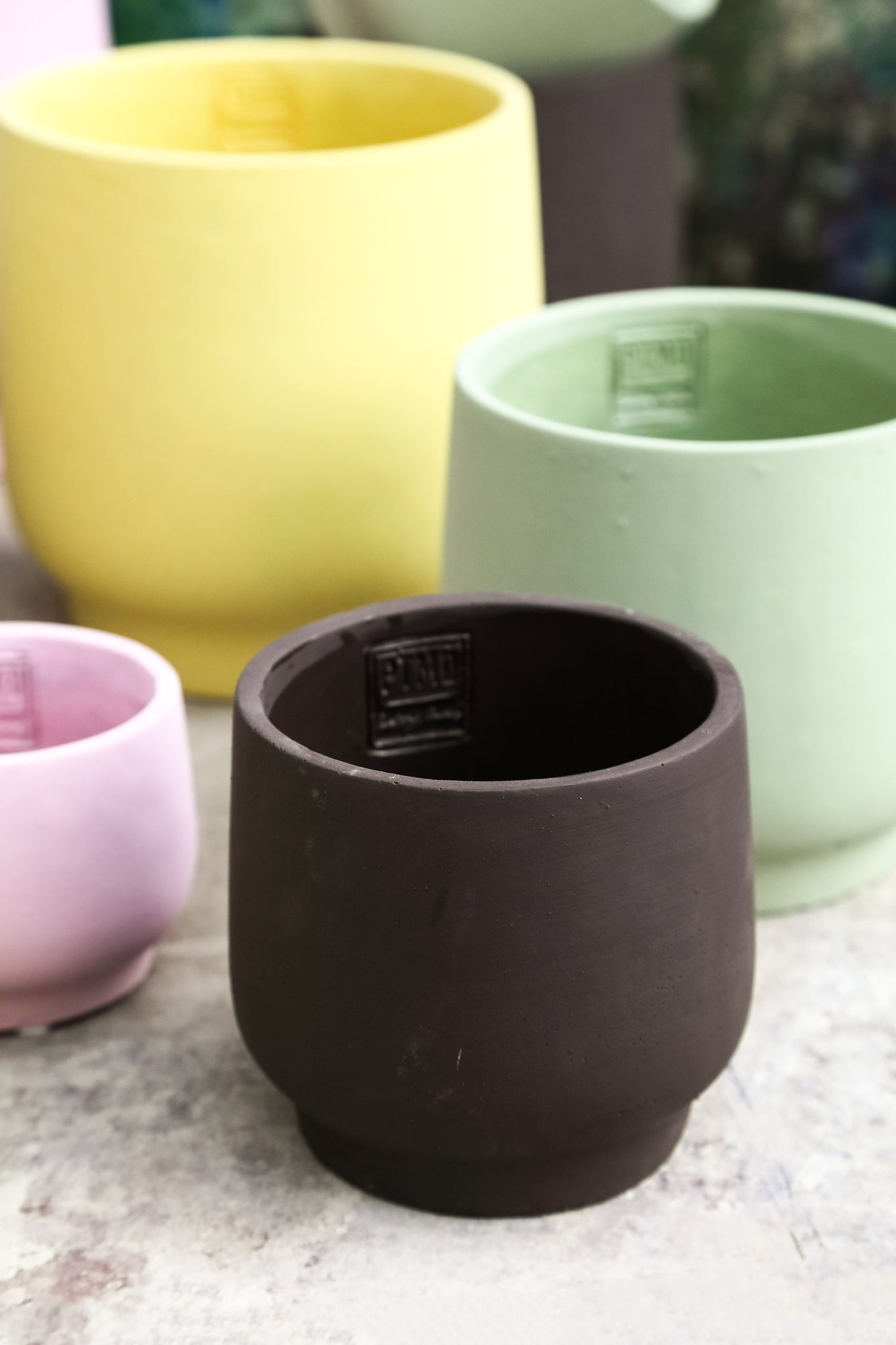 Aline Black Round Cement Pot On Base XXL