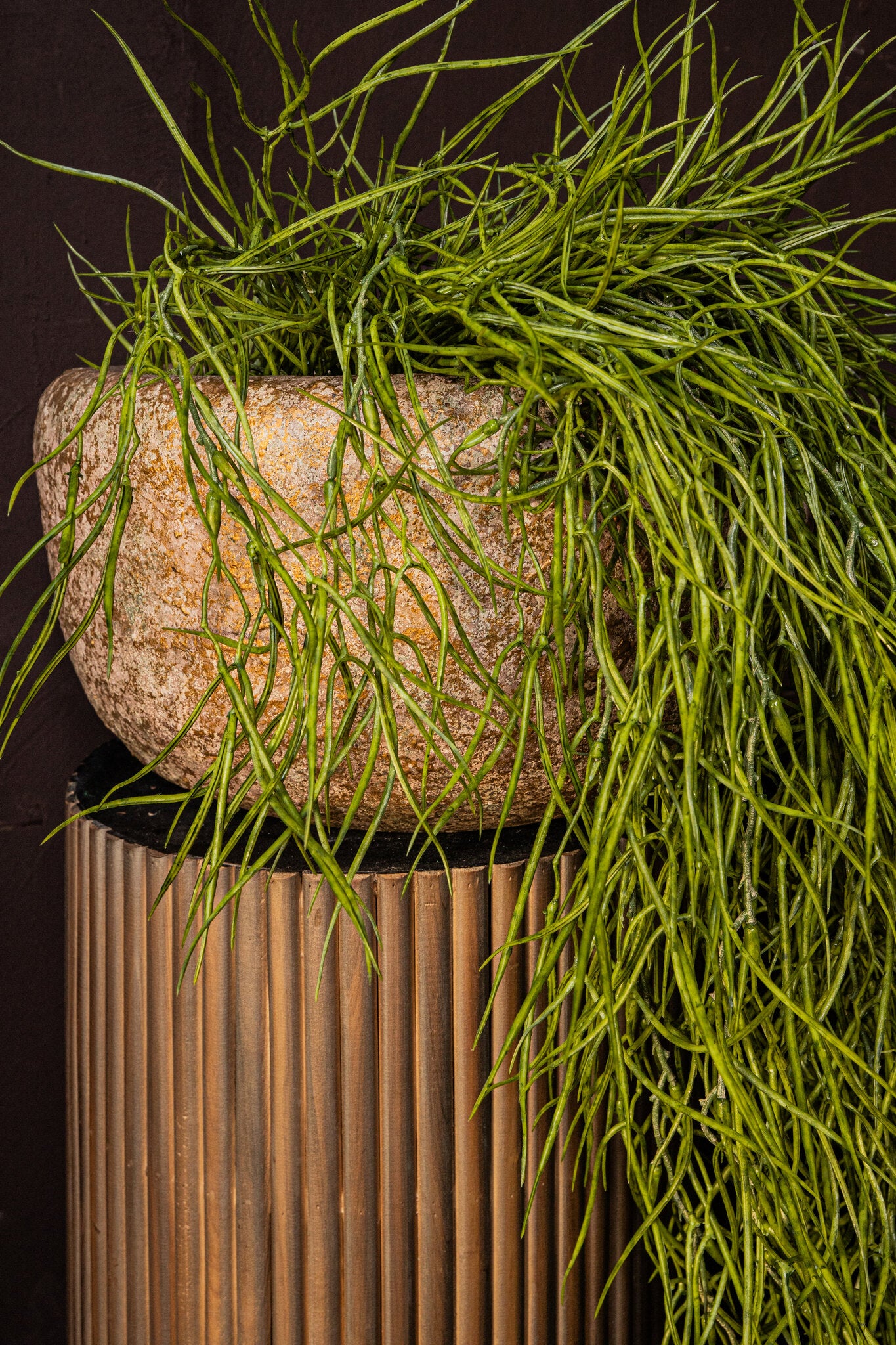 Skye-Leigh Taupe Cement Pot Round L