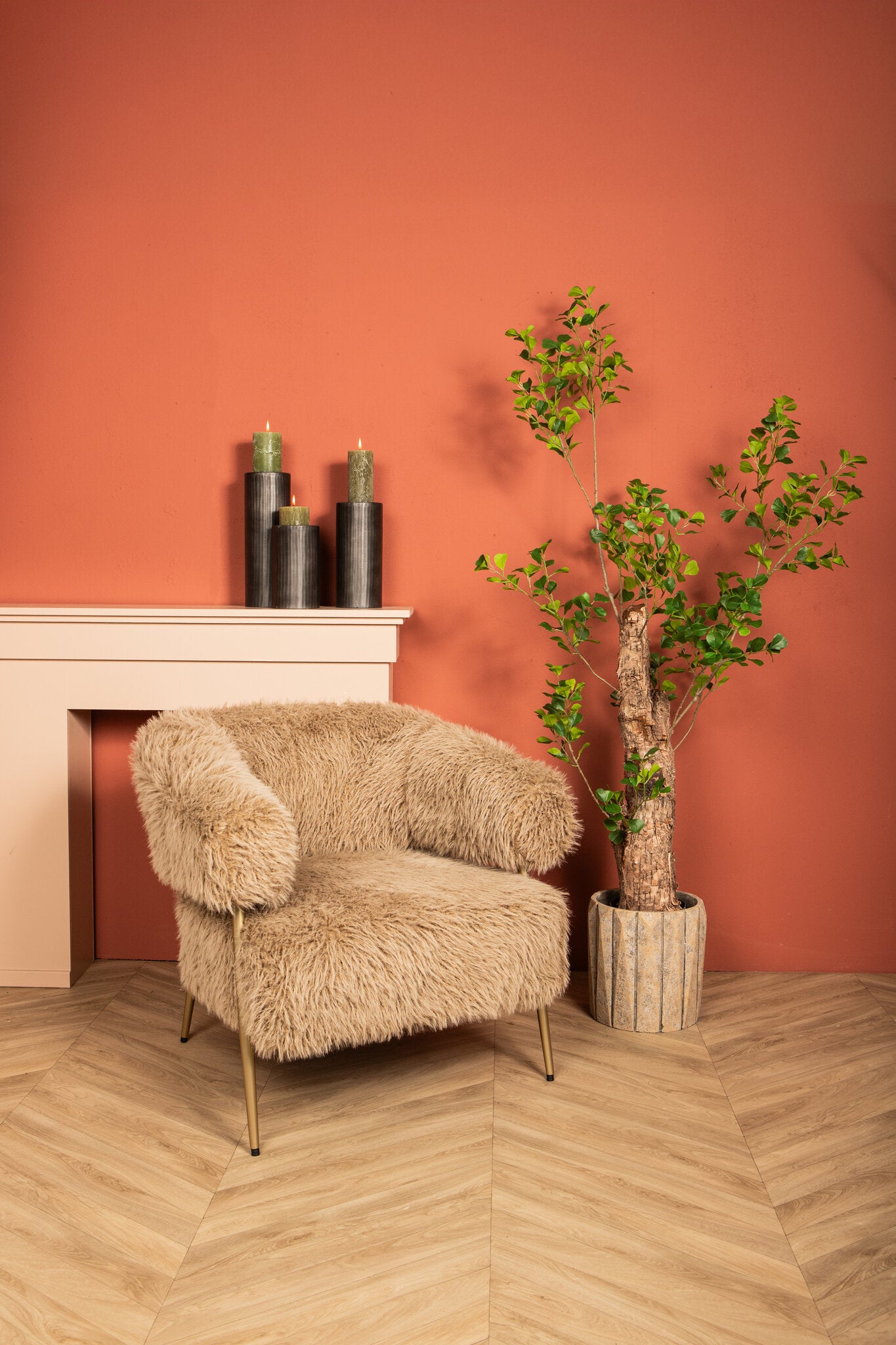 Tree Green Triangularis Tree In Pot 180cm 180x80x80 cm