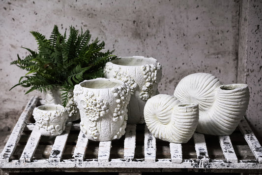 Coreal White Round Cement Pot With Coral L