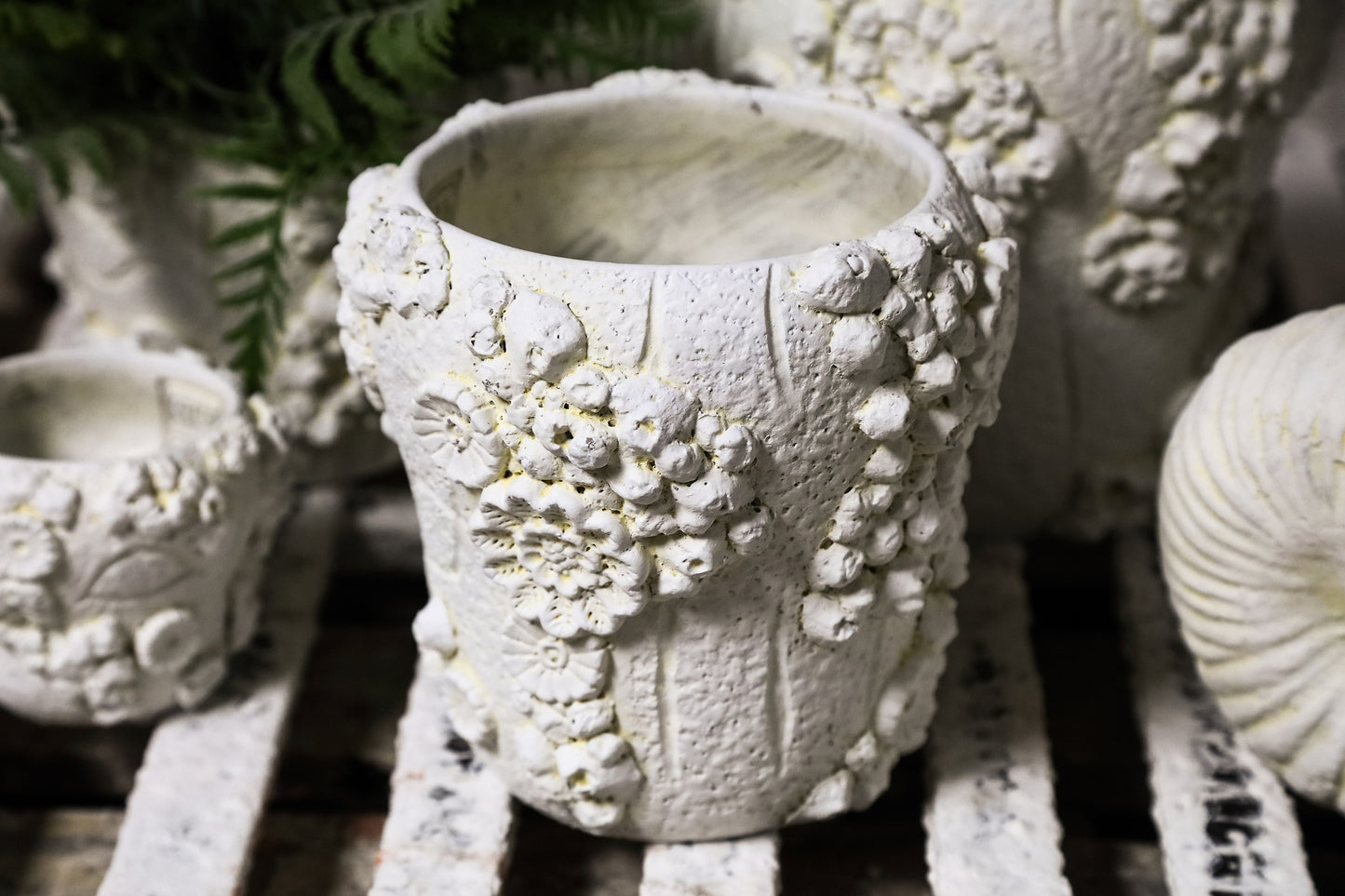 Coreal White Round Cement Pot With Coral L