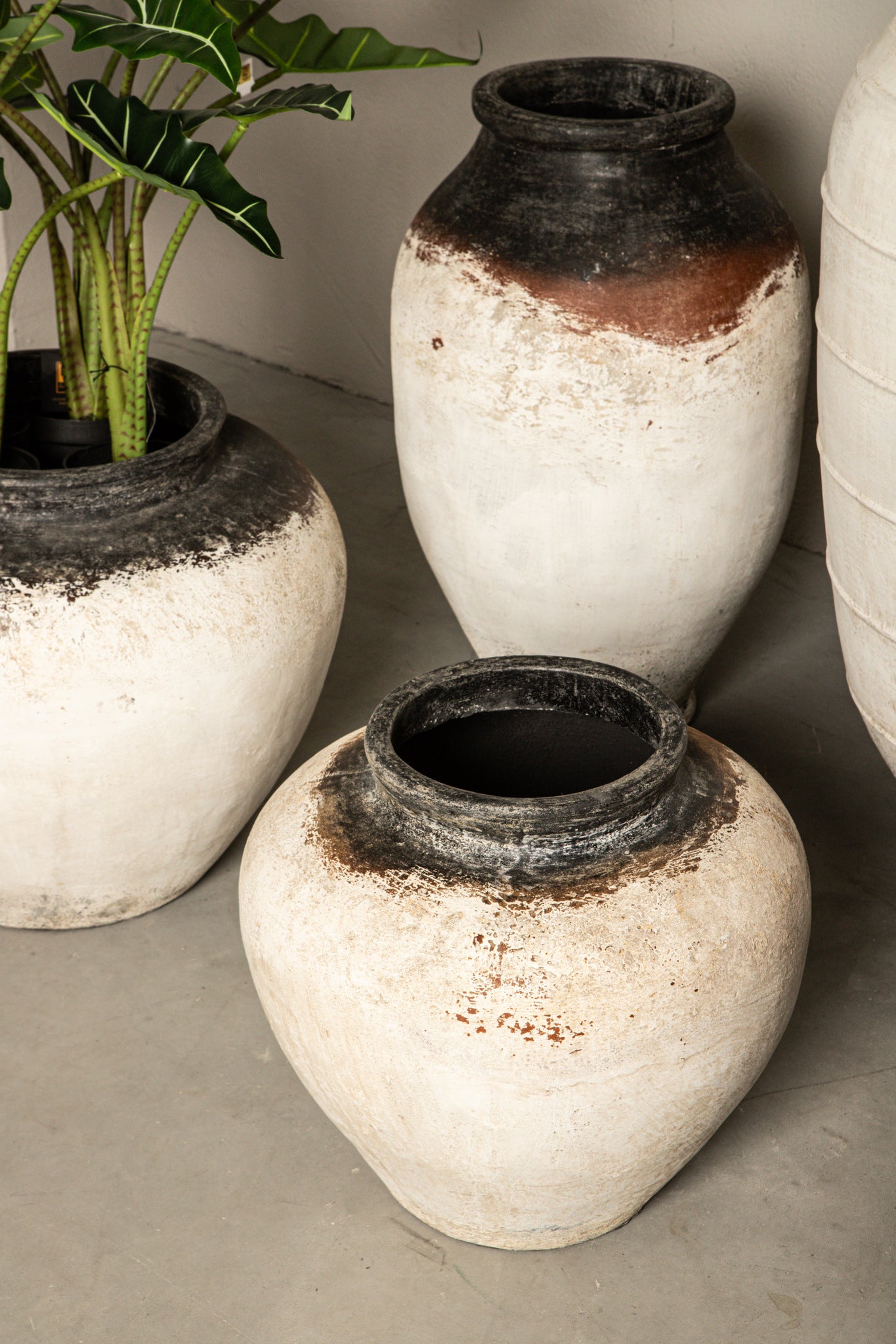 Jinsu White Round GRC Jar Pot W Dark Border L