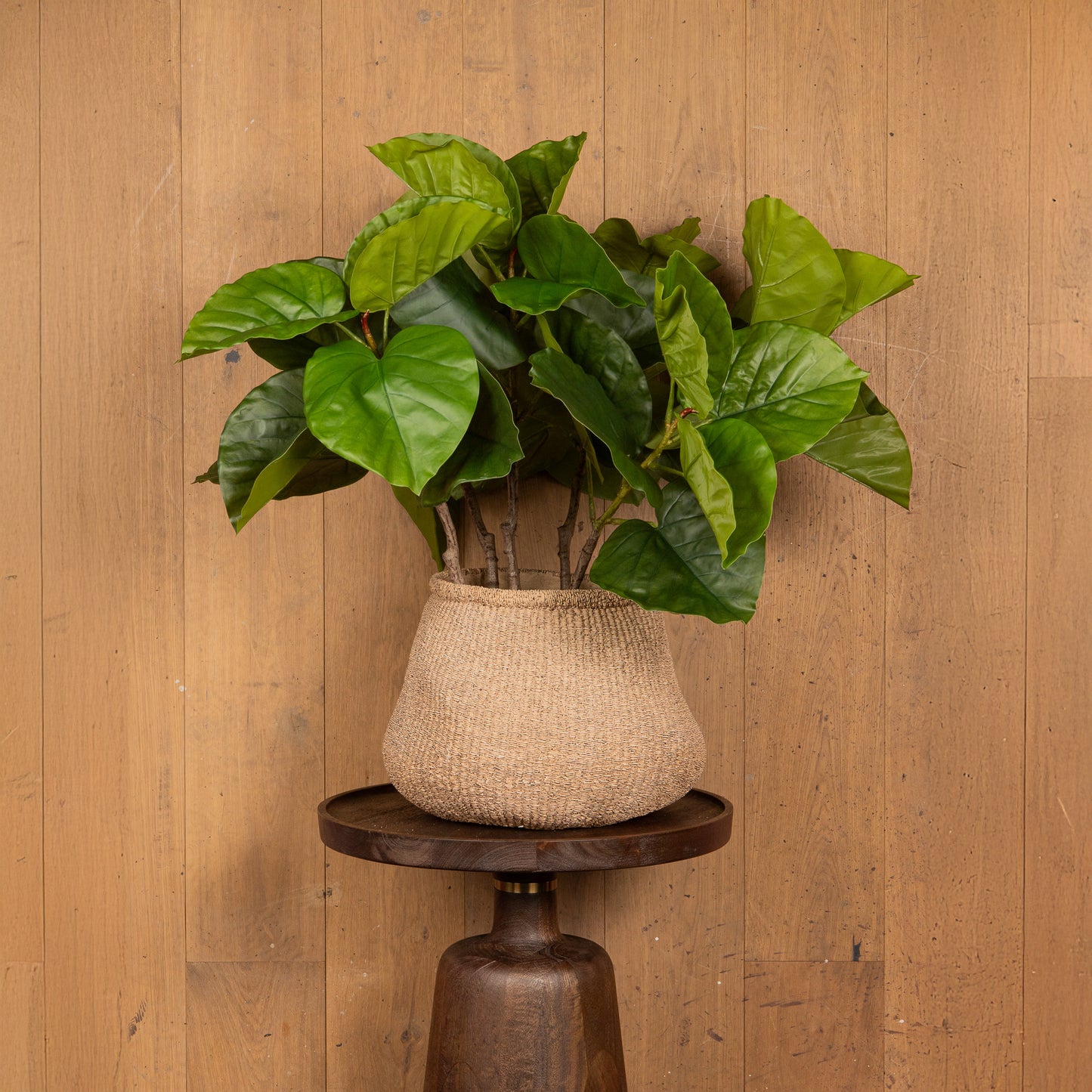 Leaves Plant Groen Ficus Bladeren Struik Set van 6 Stuks 75x37x42 cm