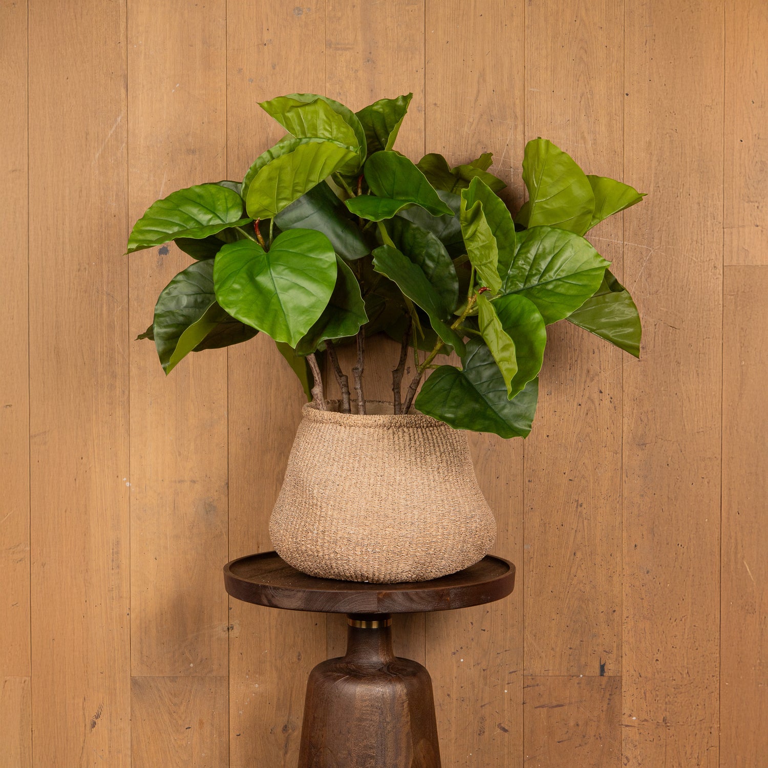 Leaves Plant Groen Ficus Bladeren Struik Set van 6 Stuks 75x37x42 cm