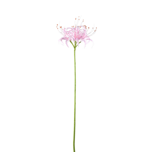 Lily Flower Roze Spinnelelie - Set van 12 91x16x20 cm