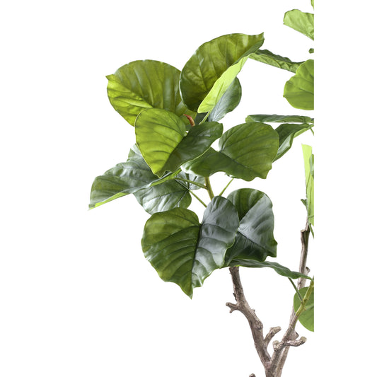 Tree Groene Ficus In Pot S 122x94x75 cm