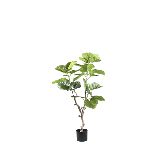Tree Groene Ficus In Pot S 122x94x75 cm