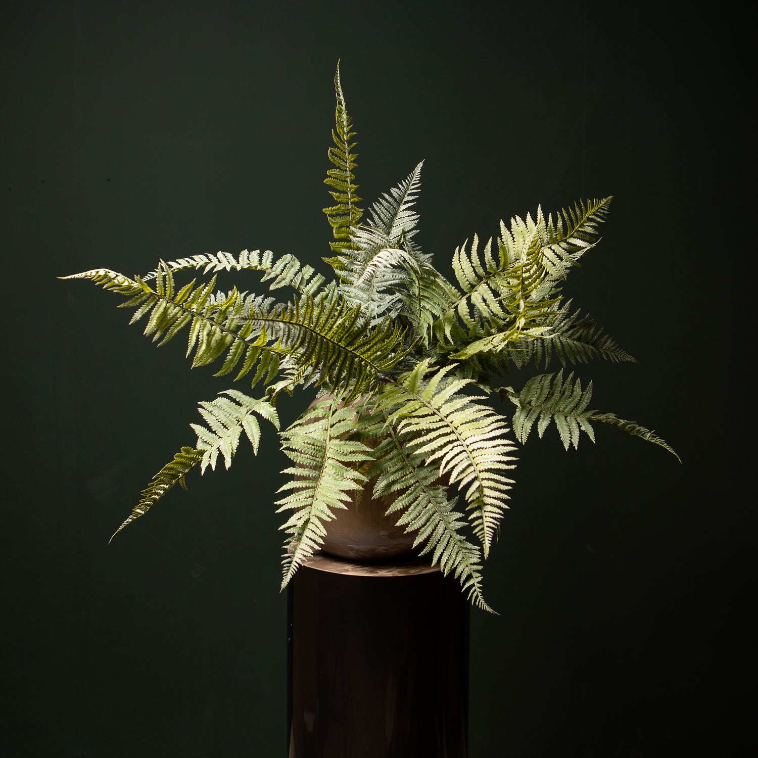 Mos Groen Varen Struik Groot L - Leaves Plant Serie - Set van 6 10x78x15 cm