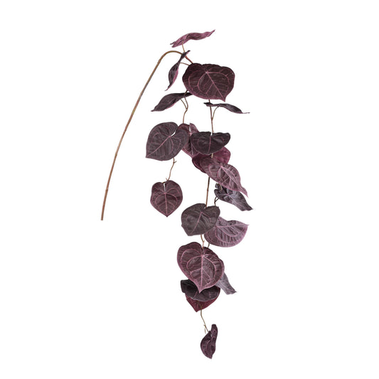 Leaves Plant Paarse Anthurium Hangend Spray Set van 6 Stuks - 6 Sets 170x108x26 cm