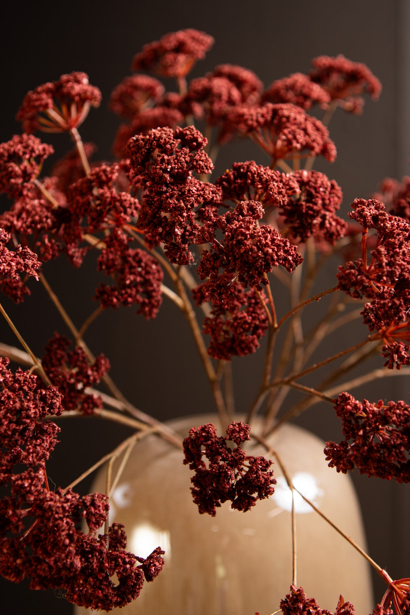 Twig Plant Bourgondisch Fennel Flower Spray - Set van 12 58x27x22 cm