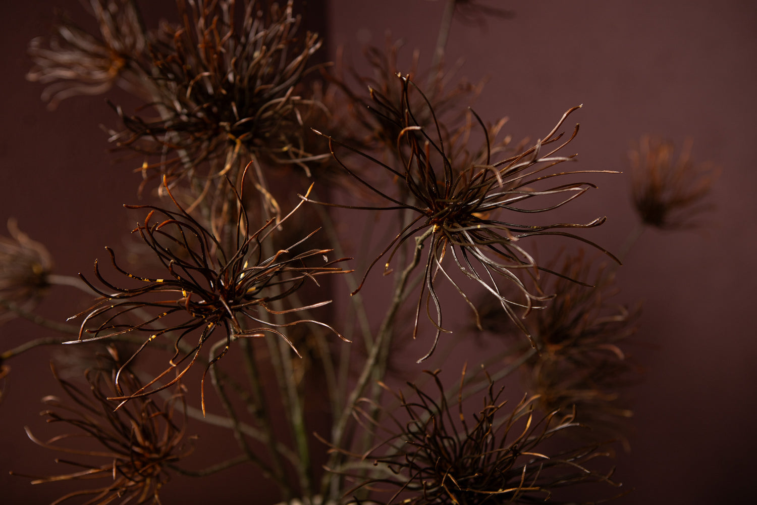 Twig Plant Bruine Grevillea Bloementak - Set van 12 112x60x39 cm
