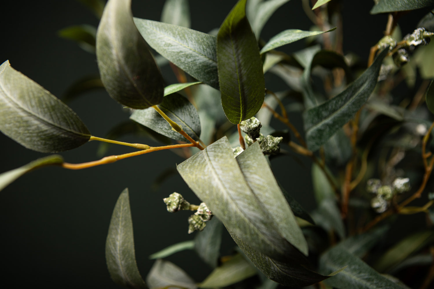 Leaves Plant Groen Eucalyptus Spray Met Zaden Lang - Set van 12 99x68x36 cm