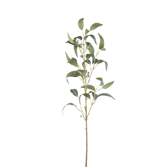 Leaves Plant Groen Eucalyptus Spray Met Zaden Lang - Set van 12 99x68x36 cm