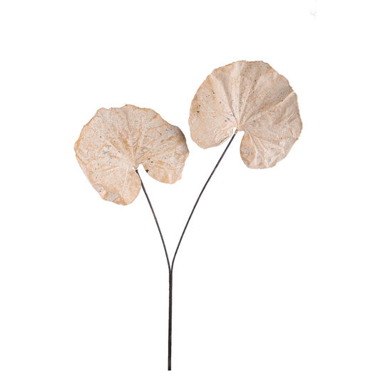 Leaves Plant Cream Boterblad Spray Set van 6 Stuks - 6 Sets 90x62x57 cm
