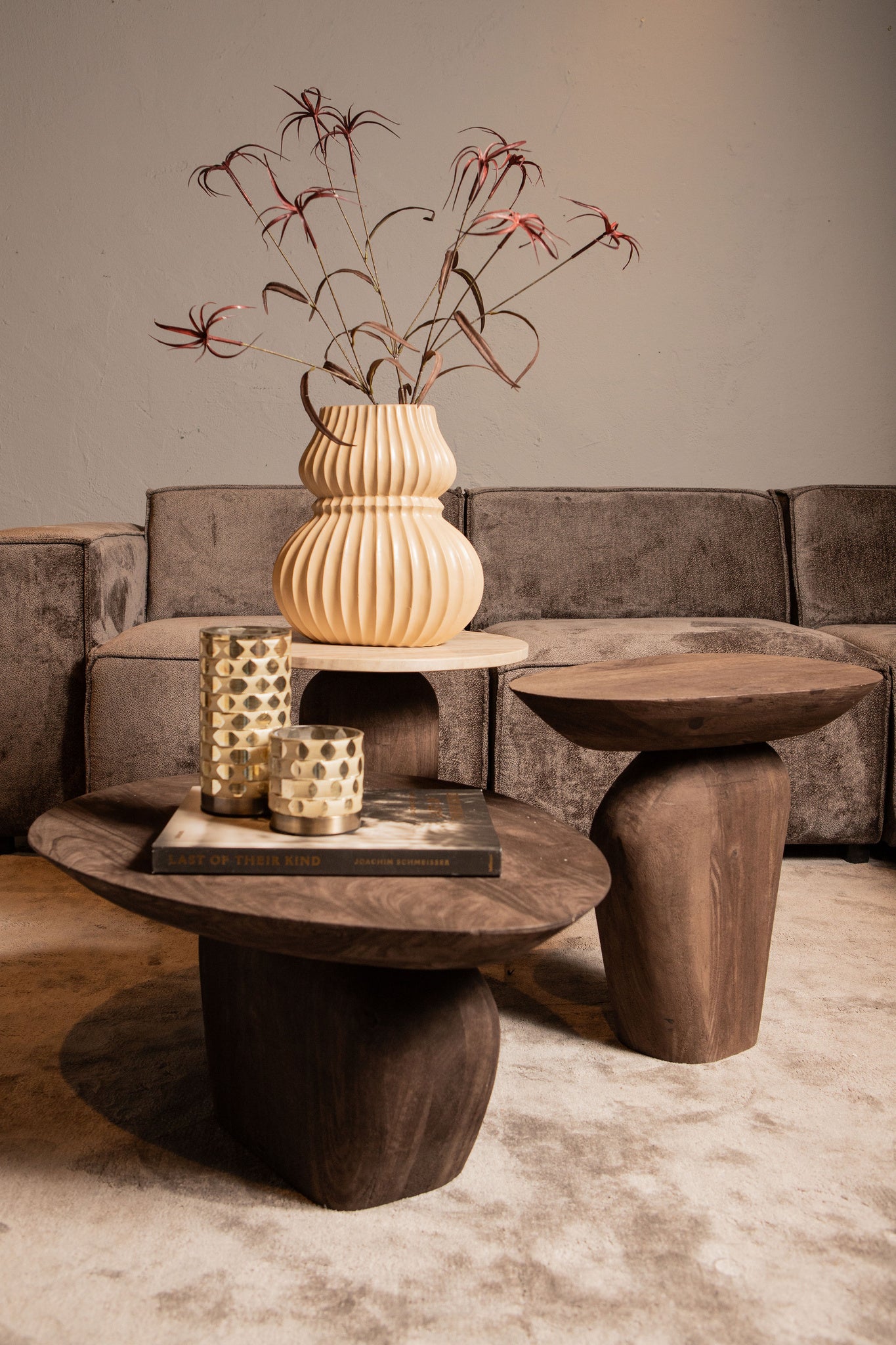 Harshad Brown Mango Wood Coffee Table Organic