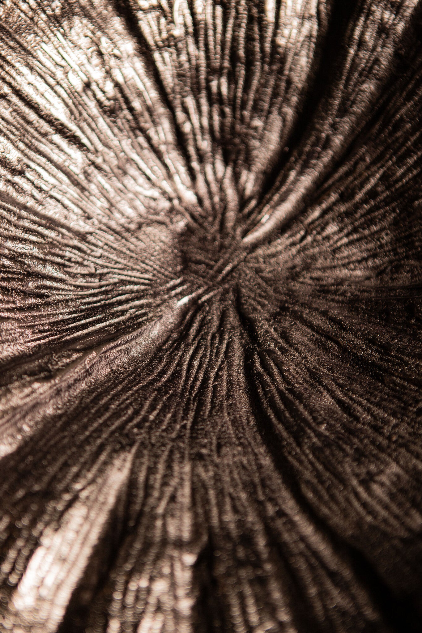 Losh GunMetal Alu Wavy Leaf Bowl Oval